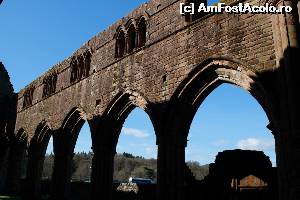 [P49] Sweetheart Abbey » foto by ariciu*
 - 
<span class="allrVoted glyphicon glyphicon-heart hidden" id="av607907"></span>
<a class="m-l-10 hidden" id="sv607907" onclick="voting_Foto_DelVot(,607907,6898)" role="button">șterge vot <span class="glyphicon glyphicon-remove"></span></a>
<a id="v9607907" class=" c-red"  onclick="voting_Foto_SetVot(607907)" role="button"><span class="glyphicon glyphicon-heart-empty"></span> <b>LIKE</b> = Votează poza</a> <img class="hidden"  id="f607907W9" src="/imagini/loader.gif" border="0" /><span class="AjErrMes hidden" id="e607907ErM"></span>