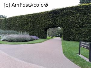 [P24] Gradina Botanica din Edinburgh.  » foto by Aurici
 - 
<span class="allrVoted glyphicon glyphicon-heart hidden" id="av901921"></span>
<a class="m-l-10 hidden" id="sv901921" onclick="voting_Foto_DelVot(,901921,6898)" role="button">șterge vot <span class="glyphicon glyphicon-remove"></span></a>
<a id="v9901921" class=" c-red"  onclick="voting_Foto_SetVot(901921)" role="button"><span class="glyphicon glyphicon-heart-empty"></span> <b>LIKE</b> = Votează poza</a> <img class="hidden"  id="f901921W9" src="/imagini/loader.gif" border="0" /><span class="AjErrMes hidden" id="e901921ErM"></span>