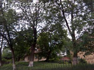 [P20] În spate la Casa Frieda, Sibiu, pe lângă Pensiunea Luceafărul » foto by Mioritik
 - 
<span class="allrVoted glyphicon glyphicon-heart hidden" id="av1296470"></span>
<a class="m-l-10 hidden" id="sv1296470" onclick="voting_Foto_DelVot(,1296470,6927)" role="button">șterge vot <span class="glyphicon glyphicon-remove"></span></a>
<a id="v91296470" class=" c-red"  onclick="voting_Foto_SetVot(1296470)" role="button"><span class="glyphicon glyphicon-heart-empty"></span> <b>LIKE</b> = Votează poza</a> <img class="hidden"  id="f1296470W9" src="/imagini/loader.gif" border="0" /><span class="AjErrMes hidden" id="e1296470ErM"></span>