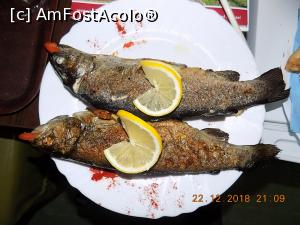 [P03] Pastrav delicios!  » foto by Mariana pisi
 - 
<span class="allrVoted glyphicon glyphicon-heart hidden" id="av1047406"></span>
<a class="m-l-10 hidden" id="sv1047406" onclick="voting_Foto_DelVot(,1047406,6934)" role="button">șterge vot <span class="glyphicon glyphicon-remove"></span></a>
<a id="v91047406" class=" c-red"  onclick="voting_Foto_SetVot(1047406)" role="button"><span class="glyphicon glyphicon-heart-empty"></span> <b>LIKE</b> = Votează poza</a> <img class="hidden"  id="f1047406W9" src="/imagini/loader.gif" border="0" /><span class="AjErrMes hidden" id="e1047406ErM"></span>