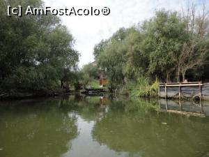 [P06] Cu barca pe canalul Dunavăţ.  » foto by Carmen Ion
 - 
<span class="allrVoted glyphicon glyphicon-heart hidden" id="av822487"></span>
<a class="m-l-10 hidden" id="sv822487" onclick="voting_Foto_DelVot(,822487,7034)" role="button">șterge vot <span class="glyphicon glyphicon-remove"></span></a>
<a id="v9822487" class=" c-red"  onclick="voting_Foto_SetVot(822487)" role="button"><span class="glyphicon glyphicon-heart-empty"></span> <b>LIKE</b> = Votează poza</a> <img class="hidden"  id="f822487W9" src="/imagini/loader.gif" border="0" /><span class="AjErrMes hidden" id="e822487ErM"></span>