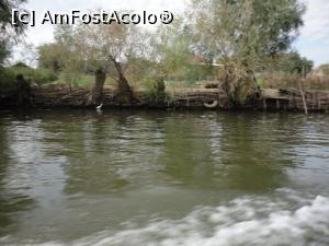 [P09] Cu barca pe canalul Dunavăţ.  » foto by Carmen Ion
 - 
<span class="allrVoted glyphicon glyphicon-heart hidden" id="av822490"></span>
<a class="m-l-10 hidden" id="sv822490" onclick="voting_Foto_DelVot(,822490,7034)" role="button">șterge vot <span class="glyphicon glyphicon-remove"></span></a>
<a id="v9822490" class=" c-red"  onclick="voting_Foto_SetVot(822490)" role="button"><span class="glyphicon glyphicon-heart-empty"></span> <b>LIKE</b> = Votează poza</a> <img class="hidden"  id="f822490W9" src="/imagini/loader.gif" border="0" /><span class="AjErrMes hidden" id="e822490ErM"></span>