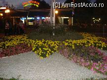 [P15]  -- <small>// FĂRĂ DESCRIERE</small> » foto by CristianC
 - 
<span class="allrVoted glyphicon glyphicon-heart hidden" id="av119627"></span>
<a class="m-l-10 hidden" id="sv119627" onclick="voting_Foto_DelVot(,119627,7044)" role="button">șterge vot <span class="glyphicon glyphicon-remove"></span></a>
<a id="v9119627" class=" c-red"  onclick="voting_Foto_SetVot(119627)" role="button"><span class="glyphicon glyphicon-heart-empty"></span> <b>LIKE</b> = Votează poza</a> <img class="hidden"  id="f119627W9" src="/imagini/loader.gif" border="0" /><span class="AjErrMes hidden" id="e119627ErM"></span>