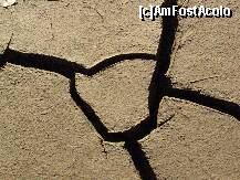 [P28]  -- <small>// FĂRĂ DESCRIERE</small> » foto by sharky1973
 - 
<span class="allrVoted glyphicon glyphicon-heart hidden" id="av163772"></span>
<a class="m-l-10 hidden" id="sv163772" onclick="voting_Foto_DelVot(,163772,7079)" role="button">șterge vot <span class="glyphicon glyphicon-remove"></span></a>
<a id="v9163772" class=" c-red"  onclick="voting_Foto_SetVot(163772)" role="button"><span class="glyphicon glyphicon-heart-empty"></span> <b>LIKE</b> = Votează poza</a> <img class="hidden"  id="f163772W9" src="/imagini/loader.gif" border="0" /><span class="AjErrMes hidden" id="e163772ErM"></span>