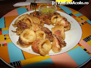 [P08] Calamari cu sos grecesc » foto by Muffin2009*
 - 
<span class="allrVoted glyphicon glyphicon-heart hidden" id="av348051"></span>
<a class="m-l-10 hidden" id="sv348051" onclick="voting_Foto_DelVot(,348051,7131)" role="button">șterge vot <span class="glyphicon glyphicon-remove"></span></a>
<a id="v9348051" class=" c-red"  onclick="voting_Foto_SetVot(348051)" role="button"><span class="glyphicon glyphicon-heart-empty"></span> <b>LIKE</b> = Votează poza</a> <img class="hidden"  id="f348051W9" src="/imagini/loader.gif" border="0" /><span class="AjErrMes hidden" id="e348051ErM"></span>
