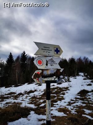 [P21] Indicații traseu » foto by cata2106
 - 
<span class="allrVoted glyphicon glyphicon-heart hidden" id="av1271802"></span>
<a class="m-l-10 hidden" id="sv1271802" onclick="voting_Foto_DelVot(,1271802,7135)" role="button">șterge vot <span class="glyphicon glyphicon-remove"></span></a>
<a id="v91271802" class=" c-red"  onclick="voting_Foto_SetVot(1271802)" role="button"><span class="glyphicon glyphicon-heart-empty"></span> <b>LIKE</b> = Votează poza</a> <img class="hidden"  id="f1271802W9" src="/imagini/loader.gif" border="0" /><span class="AjErrMes hidden" id="e1271802ErM"></span>