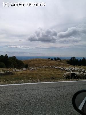 [P01] Oi pe Transalpina » foto by nelu73
 - 
<span class="allrVoted glyphicon glyphicon-heart hidden" id="av1253469"></span>
<a class="m-l-10 hidden" id="sv1253469" onclick="voting_Foto_DelVot(,1253469,7149)" role="button">șterge vot <span class="glyphicon glyphicon-remove"></span></a>
<a id="v91253469" class=" c-red"  onclick="voting_Foto_SetVot(1253469)" role="button"><span class="glyphicon glyphicon-heart-empty"></span> <b>LIKE</b> = Votează poza</a> <img class="hidden"  id="f1253469W9" src="/imagini/loader.gif" border="0" /><span class="AjErrMes hidden" id="e1253469ErM"></span>