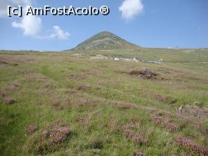 [P36] Pe Transalpina am întâlnit astfel de peisaje la tot pasul.  » foto by Floryn81
 - 
<span class="allrVoted glyphicon glyphicon-heart hidden" id="av929402"></span>
<a class="m-l-10 hidden" id="sv929402" onclick="voting_Foto_DelVot(,929402,7149)" role="button">șterge vot <span class="glyphicon glyphicon-remove"></span></a>
<a id="v9929402" class=" c-red"  onclick="voting_Foto_SetVot(929402)" role="button"><span class="glyphicon glyphicon-heart-empty"></span> <b>LIKE</b> = Votează poza</a> <img class="hidden"  id="f929402W9" src="/imagini/loader.gif" border="0" /><span class="AjErrMes hidden" id="e929402ErM"></span>