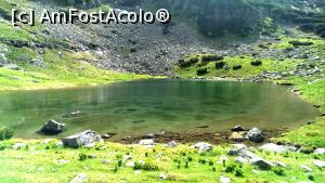 [P06] Lacul Vidal » foto by noi doi
 - 
<span class="allrVoted glyphicon glyphicon-heart hidden" id="av750102"></span>
<a class="m-l-10 hidden" id="sv750102" onclick="voting_Foto_DelVot(,750102,7149)" role="button">șterge vot <span class="glyphicon glyphicon-remove"></span></a>
<a id="v9750102" class=" c-red"  onclick="voting_Foto_SetVot(750102)" role="button"><span class="glyphicon glyphicon-heart-empty"></span> <b>LIKE</b> = Votează poza</a> <img class="hidden"  id="f750102W9" src="/imagini/loader.gif" border="0" /><span class="AjErrMes hidden" id="e750102ErM"></span>