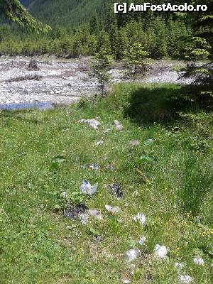 [P76] Transalpina acum, în multe imagini și puține cuvinte - Au mai trecut și alții pe aici și se cunoaște (din nefericire!)...  » foto by Lyssys
 - 
<span class="allrVoted glyphicon glyphicon-heart hidden" id="av636562"></span>
<a class="m-l-10 hidden" id="sv636562" onclick="voting_Foto_DelVot(,636562,7149)" role="button">șterge vot <span class="glyphicon glyphicon-remove"></span></a>
<a id="v9636562" class=" c-red"  onclick="voting_Foto_SetVot(636562)" role="button"><span class="glyphicon glyphicon-heart-empty"></span> <b>LIKE</b> = Votează poza</a> <img class="hidden"  id="f636562W9" src="/imagini/loader.gif" border="0" /><span class="AjErrMes hidden" id="e636562ErM"></span>