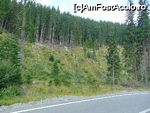 [P35] Transalpina. In drum spre Sebes.  » foto by DanTal74
 - 
<span class="allrVoted glyphicon glyphicon-heart hidden" id="av702705"></span>
<a class="m-l-10 hidden" id="sv702705" onclick="voting_Foto_DelVot(,702705,7149)" role="button">șterge vot <span class="glyphicon glyphicon-remove"></span></a>
<a id="v9702705" class=" c-red"  onclick="voting_Foto_SetVot(702705)" role="button"><span class="glyphicon glyphicon-heart-empty"></span> <b>LIKE</b> = Votează poza</a> <img class="hidden"  id="f702705W9" src="/imagini/loader.gif" border="0" /><span class="AjErrMes hidden" id="e702705ErM"></span>