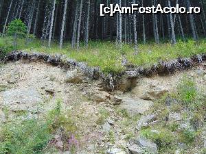 [P51]  -- <small>// FĂRĂ DESCRIERE</small> » foto by DanTal74
 - 
<span class="allrVoted glyphicon glyphicon-heart hidden" id="av702734"></span>
<a class="m-l-10 hidden" id="sv702734" onclick="voting_Foto_DelVot(,702734,7149)" role="button">șterge vot <span class="glyphicon glyphicon-remove"></span></a>
<a id="v9702734" class=" c-red"  onclick="voting_Foto_SetVot(702734)" role="button"><span class="glyphicon glyphicon-heart-empty"></span> <b>LIKE</b> = Votează poza</a> <img class="hidden"  id="f702734W9" src="/imagini/loader.gif" border="0" /><span class="AjErrMes hidden" id="e702734ErM"></span>