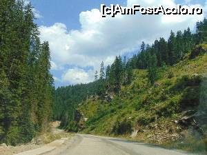 [P53] In unele locuri va puteti bucura gustul bun al zmeurei.  » foto by DanTal74
 - 
<span class="allrVoted glyphicon glyphicon-heart hidden" id="av702736"></span>
<a class="m-l-10 hidden" id="sv702736" onclick="voting_Foto_DelVot(,702736,7149)" role="button">șterge vot <span class="glyphicon glyphicon-remove"></span></a>
<a id="v9702736" class=" c-red"  onclick="voting_Foto_SetVot(702736)" role="button"><span class="glyphicon glyphicon-heart-empty"></span> <b>LIKE</b> = Votează poza</a> <img class="hidden"  id="f702736W9" src="/imagini/loader.gif" border="0" /><span class="AjErrMes hidden" id="e702736ErM"></span>