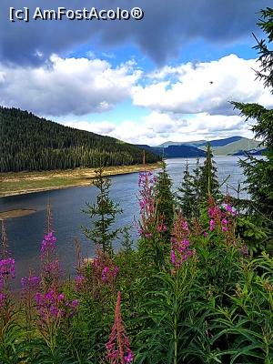 [P02] Lacul Vidra » foto by Dana2008
 - 
<span class="allrVoted glyphicon glyphicon-heart hidden" id="av924607"></span>
<a class="m-l-10 hidden" id="sv924607" onclick="voting_Foto_DelVot(,924607,7149)" role="button">șterge vot <span class="glyphicon glyphicon-remove"></span></a>
<a id="v9924607" class=" c-red"  onclick="voting_Foto_SetVot(924607)" role="button"><span class="glyphicon glyphicon-heart-empty"></span> <b>LIKE</b> = Votează poza</a> <img class="hidden"  id="f924607W9" src="/imagini/loader.gif" border="0" /><span class="AjErrMes hidden" id="e924607ErM"></span>