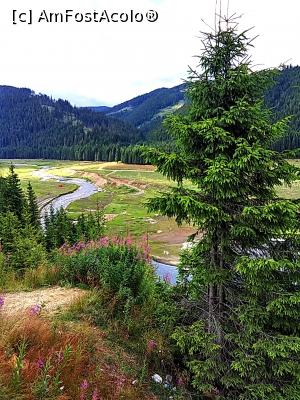 [P04] Lacul Vidra » foto by Dana2008
 - 
<span class="allrVoted glyphicon glyphicon-heart hidden" id="av924609"></span>
<a class="m-l-10 hidden" id="sv924609" onclick="voting_Foto_DelVot(,924609,7149)" role="button">șterge vot <span class="glyphicon glyphicon-remove"></span></a>
<a id="v9924609" class=" c-red"  onclick="voting_Foto_SetVot(924609)" role="button"><span class="glyphicon glyphicon-heart-empty"></span> <b>LIKE</b> = Votează poza</a> <img class="hidden"  id="f924609W9" src="/imagini/loader.gif" border="0" /><span class="AjErrMes hidden" id="e924609ErM"></span>