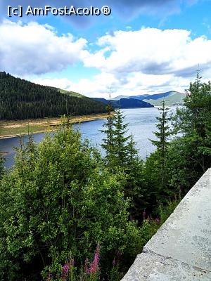 [P09] Lacul Vidra » foto by Dana2008
 - 
<span class="allrVoted glyphicon glyphicon-heart hidden" id="av924614"></span>
<a class="m-l-10 hidden" id="sv924614" onclick="voting_Foto_DelVot(,924614,7149)" role="button">șterge vot <span class="glyphicon glyphicon-remove"></span></a>
<a id="v9924614" class=" c-red"  onclick="voting_Foto_SetVot(924614)" role="button"><span class="glyphicon glyphicon-heart-empty"></span> <b>LIKE</b> = Votează poza</a> <img class="hidden"  id="f924614W9" src="/imagini/loader.gif" border="0" /><span class="AjErrMes hidden" id="e924614ErM"></span>