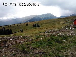 [P10] Transalpina in luna iulie, peisaj de langa stana » foto by Dana2008
 - 
<span class="allrVoted glyphicon glyphicon-heart hidden" id="av926166"></span>
<a class="m-l-10 hidden" id="sv926166" onclick="voting_Foto_DelVot(,926166,7149)" role="button">șterge vot <span class="glyphicon glyphicon-remove"></span></a>
<a id="v9926166" class=" c-red"  onclick="voting_Foto_SetVot(926166)" role="button"><span class="glyphicon glyphicon-heart-empty"></span> <b>LIKE</b> = Votează poza</a> <img class="hidden"  id="f926166W9" src="/imagini/loader.gif" border="0" /><span class="AjErrMes hidden" id="e926166ErM"></span>