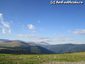 [P15] peisaj transalpina » foto by zlatna
 - 
<span class="allrVoted glyphicon glyphicon-heart hidden" id="av661860"></span>
<a class="m-l-10 hidden" id="sv661860" onclick="voting_Foto_DelVot(,661860,7149)" role="button">șterge vot <span class="glyphicon glyphicon-remove"></span></a>
<a id="v9661860" class=" c-red"  onclick="voting_Foto_SetVot(661860)" role="button"><span class="glyphicon glyphicon-heart-empty"></span> <b>LIKE</b> = Votează poza</a> <img class="hidden"  id="f661860W9" src="/imagini/loader.gif" border="0" /><span class="AjErrMes hidden" id="e661860ErM"></span>