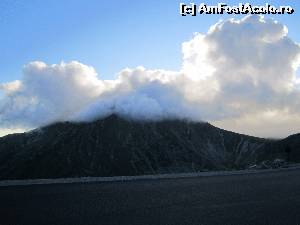 [P22] norii au 'muscat' din varful muntelui » foto by zlatna
 - 
<span class="allrVoted glyphicon glyphicon-heart hidden" id="av661867"></span>
<a class="m-l-10 hidden" id="sv661867" onclick="voting_Foto_DelVot(,661867,7149)" role="button">șterge vot <span class="glyphicon glyphicon-remove"></span></a>
<a id="v9661867" class=" c-red"  onclick="voting_Foto_SetVot(661867)" role="button"><span class="glyphicon glyphicon-heart-empty"></span> <b>LIKE</b> = Votează poza</a> <img class="hidden"  id="f661867W9" src="/imagini/loader.gif" border="0" /><span class="AjErrMes hidden" id="e661867ErM"></span>