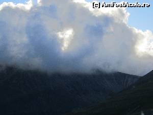 [P26] ce ziceti?  » foto by zlatna
 - 
<span class="allrVoted glyphicon glyphicon-heart hidden" id="av661877"></span>
<a class="m-l-10 hidden" id="sv661877" onclick="voting_Foto_DelVot(,661877,7149)" role="button">șterge vot <span class="glyphicon glyphicon-remove"></span></a>
<a id="v9661877" class=" c-red"  onclick="voting_Foto_SetVot(661877)" role="button"><span class="glyphicon glyphicon-heart-empty"></span> <b>LIKE</b> = Votează poza</a> <img class="hidden"  id="f661877W9" src="/imagini/loader.gif" border="0" /><span class="AjErrMes hidden" id="e661877ErM"></span>