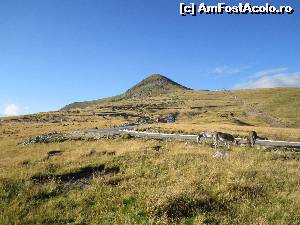 [P30] peisaj cu varful Papusa si cu magarusi » foto by zlatna
 - 
<span class="allrVoted glyphicon glyphicon-heart hidden" id="av661882"></span>
<a class="m-l-10 hidden" id="sv661882" onclick="voting_Foto_DelVot(,661882,7149)" role="button">șterge vot <span class="glyphicon glyphicon-remove"></span></a>
<a id="v9661882" class=" c-red"  onclick="voting_Foto_SetVot(661882)" role="button"><span class="glyphicon glyphicon-heart-empty"></span> <b>LIKE</b> = Votează poza</a> <img class="hidden"  id="f661882W9" src="/imagini/loader.gif" border="0" /><span class="AjErrMes hidden" id="e661882ErM"></span>