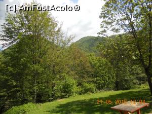 [P01] In drum spre Voineasa » foto by zlatna
 - 
<span class="allrVoted glyphicon glyphicon-heart hidden" id="av744029"></span>
<a class="m-l-10 hidden" id="sv744029" onclick="voting_Foto_DelVot(,744029,7149)" role="button">șterge vot <span class="glyphicon glyphicon-remove"></span></a>
<a id="v9744029" class=" c-red"  onclick="voting_Foto_SetVot(744029)" role="button"><span class="glyphicon glyphicon-heart-empty"></span> <b>LIKE</b> = Votează poza</a> <img class="hidden"  id="f744029W9" src="/imagini/loader.gif" border="0" /><span class="AjErrMes hidden" id="e744029ErM"></span>