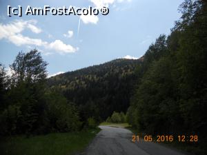 [P04] pe traseu incep sa apara padurile de brad » foto by zlatna
 - 
<span class="allrVoted glyphicon glyphicon-heart hidden" id="av744032"></span>
<a class="m-l-10 hidden" id="sv744032" onclick="voting_Foto_DelVot(,744032,7149)" role="button">șterge vot <span class="glyphicon glyphicon-remove"></span></a>
<a id="v9744032" class=" c-red"  onclick="voting_Foto_SetVot(744032)" role="button"><span class="glyphicon glyphicon-heart-empty"></span> <b>LIKE</b> = Votează poza</a> <img class="hidden"  id="f744032W9" src="/imagini/loader.gif" border="0" /><span class="AjErrMes hidden" id="e744032ErM"></span>