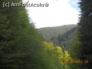 [P05] trecerea de la padure de foioase la brad » foto by zlatna
 - 
<span class="allrVoted glyphicon glyphicon-heart hidden" id="av744033"></span>
<a class="m-l-10 hidden" id="sv744033" onclick="voting_Foto_DelVot(,744033,7149)" role="button">șterge vot <span class="glyphicon glyphicon-remove"></span></a>
<a id="v9744033" class=" c-red"  onclick="voting_Foto_SetVot(744033)" role="button"><span class="glyphicon glyphicon-heart-empty"></span> <b>LIKE</b> = Votează poza</a> <img class="hidden"  id="f744033W9" src="/imagini/loader.gif" border="0" /><span class="AjErrMes hidden" id="e744033ErM"></span>