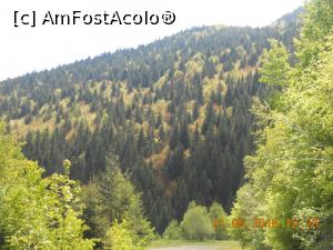 [P06] primavara vine in trepte la munte » foto by zlatna
 - 
<span class="allrVoted glyphicon glyphicon-heart hidden" id="av744034"></span>
<a class="m-l-10 hidden" id="sv744034" onclick="voting_Foto_DelVot(,744034,7149)" role="button">șterge vot <span class="glyphicon glyphicon-remove"></span></a>
<a id="v9744034" class=" c-red"  onclick="voting_Foto_SetVot(744034)" role="button"><span class="glyphicon glyphicon-heart-empty"></span> <b>LIKE</b> = Votează poza</a> <img class="hidden"  id="f744034W9" src="/imagini/loader.gif" border="0" /><span class="AjErrMes hidden" id="e744034ErM"></span>