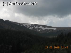 [P07] a mai ramas si ceva zapada » foto by zlatna
 - 
<span class="allrVoted glyphicon glyphicon-heart hidden" id="av744035"></span>
<a class="m-l-10 hidden" id="sv744035" onclick="voting_Foto_DelVot(,744035,7149)" role="button">șterge vot <span class="glyphicon glyphicon-remove"></span></a>
<a id="v9744035" class=" c-red"  onclick="voting_Foto_SetVot(744035)" role="button"><span class="glyphicon glyphicon-heart-empty"></span> <b>LIKE</b> = Votează poza</a> <img class="hidden"  id="f744035W9" src="/imagini/loader.gif" border="0" /><span class="AjErrMes hidden" id="e744035ErM"></span>