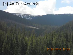 [P09] si mai multa zapada » foto by zlatna
 - 
<span class="allrVoted glyphicon glyphicon-heart hidden" id="av744037"></span>
<a class="m-l-10 hidden" id="sv744037" onclick="voting_Foto_DelVot(,744037,7149)" role="button">șterge vot <span class="glyphicon glyphicon-remove"></span></a>
<a id="v9744037" class=" c-red"  onclick="voting_Foto_SetVot(744037)" role="button"><span class="glyphicon glyphicon-heart-empty"></span> <b>LIKE</b> = Votează poza</a> <img class="hidden"  id="f744037W9" src="/imagini/loader.gif" border="0" /><span class="AjErrMes hidden" id="e744037ErM"></span>