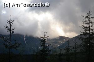 [P11] Dupa ploaie » foto by AZE
 - 
<span class="allrVoted glyphicon glyphicon-heart hidden" id="av727482"></span>
<a class="m-l-10 hidden" id="sv727482" onclick="voting_Foto_DelVot(,727482,7149)" role="button">șterge vot <span class="glyphicon glyphicon-remove"></span></a>
<a id="v9727482" class=" c-red"  onclick="voting_Foto_SetVot(727482)" role="button"><span class="glyphicon glyphicon-heart-empty"></span> <b>LIKE</b> = Votează poza</a> <img class="hidden"  id="f727482W9" src="/imagini/loader.gif" border="0" /><span class="AjErrMes hidden" id="e727482ErM"></span>