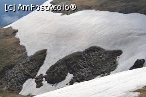 [P32]  -- <small>// FĂRĂ DESCRIERE</small> » foto by AZE
 - 
<span class="allrVoted glyphicon glyphicon-heart hidden" id="av727503"></span>
<a class="m-l-10 hidden" id="sv727503" onclick="voting_Foto_DelVot(,727503,7149)" role="button">șterge vot <span class="glyphicon glyphicon-remove"></span></a>
<a id="v9727503" class=" c-red"  onclick="voting_Foto_SetVot(727503)" role="button"><span class="glyphicon glyphicon-heart-empty"></span> <b>LIKE</b> = Votează poza</a> <img class="hidden"  id="f727503W9" src="/imagini/loader.gif" border="0" /><span class="AjErrMes hidden" id="e727503ErM"></span>