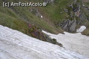 [P39]  -- <small>// FĂRĂ DESCRIERE</small> » foto by AZE
 - 
<span class="allrVoted glyphicon glyphicon-heart hidden" id="av727510"></span>
<a class="m-l-10 hidden" id="sv727510" onclick="voting_Foto_DelVot(,727510,7149)" role="button">șterge vot <span class="glyphicon glyphicon-remove"></span></a>
<a id="v9727510" class=" c-red"  onclick="voting_Foto_SetVot(727510)" role="button"><span class="glyphicon glyphicon-heart-empty"></span> <b>LIKE</b> = Votează poza</a> <img class="hidden"  id="f727510W9" src="/imagini/loader.gif" border="0" /><span class="AjErrMes hidden" id="e727510ErM"></span>