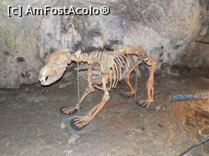 [P02]  -- <small>// FĂRĂ DESCRIERE</small> » foto by spirid72
 - 
<span class="allrVoted glyphicon glyphicon-heart hidden" id="av832997"></span>
<a class="m-l-10 hidden" id="sv832997" onclick="voting_Foto_DelVot(,832997,7149)" role="button">șterge vot <span class="glyphicon glyphicon-remove"></span></a>
<a id="v9832997" class=" c-red"  onclick="voting_Foto_SetVot(832997)" role="button"><span class="glyphicon glyphicon-heart-empty"></span> <b>LIKE</b> = Votează poza</a> <img class="hidden"  id="f832997W9" src="/imagini/loader.gif" border="0" /><span class="AjErrMes hidden" id="e832997ErM"></span>