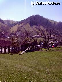 [P01]  -- <small>// FĂRĂ DESCRIERE</small> » foto by gabletta
 - 
<span class="allrVoted glyphicon glyphicon-heart hidden" id="av196255"></span>
<a class="m-l-10 hidden" id="sv196255" onclick="voting_Foto_DelVot(,196255,7152)" role="button">șterge vot <span class="glyphicon glyphicon-remove"></span></a>
<a id="v9196255" class=" c-red"  onclick="voting_Foto_SetVot(196255)" role="button"><span class="glyphicon glyphicon-heart-empty"></span> <b>LIKE</b> = Votează poza</a> <img class="hidden"  id="f196255W9" src="/imagini/loader.gif" border="0" /><span class="AjErrMes hidden" id="e196255ErM"></span>