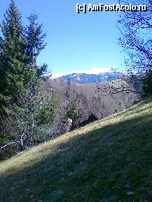 [P10]  -- <small>// FĂRĂ DESCRIERE</small> » foto by gabletta
 - 
<span class="allrVoted glyphicon glyphicon-heart hidden" id="av196266"></span>
<a class="m-l-10 hidden" id="sv196266" onclick="voting_Foto_DelVot(,196266,7152)" role="button">șterge vot <span class="glyphicon glyphicon-remove"></span></a>
<a id="v9196266" class=" c-red"  onclick="voting_Foto_SetVot(196266)" role="button"><span class="glyphicon glyphicon-heart-empty"></span> <b>LIKE</b> = Votează poza</a> <img class="hidden"  id="f196266W9" src="/imagini/loader.gif" border="0" /><span class="AjErrMes hidden" id="e196266ErM"></span>