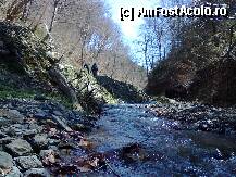 [P06]  -- <small>// FĂRĂ DESCRIERE</small> » foto by gabletta
 - 
<span class="allrVoted glyphicon glyphicon-heart hidden" id="av196261"></span>
<a class="m-l-10 hidden" id="sv196261" onclick="voting_Foto_DelVot(,196261,7152)" role="button">șterge vot <span class="glyphicon glyphicon-remove"></span></a>
<a id="v9196261" class=" c-red"  onclick="voting_Foto_SetVot(196261)" role="button"><span class="glyphicon glyphicon-heart-empty"></span> <b>LIKE</b> = Votează poza</a> <img class="hidden"  id="f196261W9" src="/imagini/loader.gif" border="0" /><span class="AjErrMes hidden" id="e196261ErM"></span>