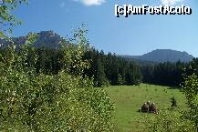 [P04] Partia de ski din Durau, in stanga Cehlaul » foto by Lumis66
 - 
<span class="allrVoted glyphicon glyphicon-heart hidden" id="av247983"></span>
<a class="m-l-10 hidden" id="sv247983" onclick="voting_Foto_DelVot(,247983,7157)" role="button">șterge vot <span class="glyphicon glyphicon-remove"></span></a>
<a id="v9247983" class=" c-red"  onclick="voting_Foto_SetVot(247983)" role="button"><span class="glyphicon glyphicon-heart-empty"></span> <b>LIKE</b> = Votează poza</a> <img class="hidden"  id="f247983W9" src="/imagini/loader.gif" border="0" /><span class="AjErrMes hidden" id="e247983ErM"></span>