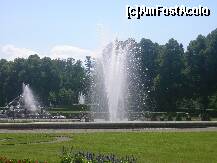 [P03] Fantani pe domeniul Herrenchiemsee » foto by doina_c24
 - 
<span class="allrVoted glyphicon glyphicon-heart hidden" id="av209352"></span>
<a class="m-l-10 hidden" id="sv209352" onclick="voting_Foto_DelVot(,209352,7186)" role="button">șterge vot <span class="glyphicon glyphicon-remove"></span></a>
<a id="v9209352" class=" c-red"  onclick="voting_Foto_SetVot(209352)" role="button"><span class="glyphicon glyphicon-heart-empty"></span> <b>LIKE</b> = Votează poza</a> <img class="hidden"  id="f209352W9" src="/imagini/loader.gif" border="0" /><span class="AjErrMes hidden" id="e209352ErM"></span>