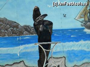 [P19] foca -personajul principal...  :))  » foto by silvia tudoran
 - 
<span class="allrVoted glyphicon glyphicon-heart hidden" id="av349559"></span>
<a class="m-l-10 hidden" id="sv349559" onclick="voting_Foto_DelVot(,349559,7189)" role="button">șterge vot <span class="glyphicon glyphicon-remove"></span></a>
<a id="v9349559" class=" c-red"  onclick="voting_Foto_SetVot(349559)" role="button"><span class="glyphicon glyphicon-heart-empty"></span> <b>LIKE</b> = Votează poza</a> <img class="hidden"  id="f349559W9" src="/imagini/loader.gif" border="0" /><span class="AjErrMes hidden" id="e349559ErM"></span>