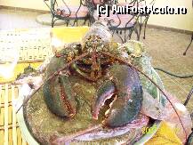 [P06] Din oferta bogata a restaurantelor din Cetatea Veche Budva » foto by criva
 - 
<span class="allrVoted glyphicon glyphicon-heart hidden" id="av180319"></span>
<a class="m-l-10 hidden" id="sv180319" onclick="voting_Foto_DelVot(,180319,7206)" role="button">șterge vot <span class="glyphicon glyphicon-remove"></span></a>
<a id="v9180319" class=" c-red"  onclick="voting_Foto_SetVot(180319)" role="button"><span class="glyphicon glyphicon-heart-empty"></span> <b>LIKE</b> = Votează poza</a> <img class="hidden"  id="f180319W9" src="/imagini/loader.gif" border="0" /><span class="AjErrMes hidden" id="e180319ErM"></span>