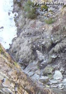 [P12] Apa scursa din cascada... » foto by corinka
 - 
<span class="allrVoted glyphicon glyphicon-heart hidden" id="av54179"></span>
<a class="m-l-10 hidden" id="sv54179" onclick="voting_Foto_DelVot(,54179,7213)" role="button">șterge vot <span class="glyphicon glyphicon-remove"></span></a>
<a id="v954179" class=" c-red"  onclick="voting_Foto_SetVot(54179)" role="button"><span class="glyphicon glyphicon-heart-empty"></span> <b>LIKE</b> = Votează poza</a> <img class="hidden"  id="f54179W9" src="/imagini/loader.gif" border="0" /><span class="AjErrMes hidden" id="e54179ErM"></span>