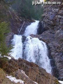 [P13] Si atractia locului... » foto by corinka
 - 
<span class="allrVoted glyphicon glyphicon-heart hidden" id="av54180"></span>
<a class="m-l-10 hidden" id="sv54180" onclick="voting_Foto_DelVot(,54180,7213)" role="button">șterge vot <span class="glyphicon glyphicon-remove"></span></a>
<a id="v954180" class=" c-red"  onclick="voting_Foto_SetVot(54180)" role="button"><span class="glyphicon glyphicon-heart-empty"></span> <b>LIKE</b> = Votează poza</a> <img class="hidden"  id="f54180W9" src="/imagini/loader.gif" border="0" /><span class="AjErrMes hidden" id="e54180ErM"></span>