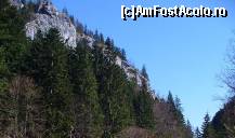 [P16] Brazii care 'vegheaza' cascada ascunsa in munti... » foto by corinka
 - 
<span class="allrVoted glyphicon glyphicon-heart hidden" id="av54186"></span>
<a class="m-l-10 hidden" id="sv54186" onclick="voting_Foto_DelVot(,54186,7213)" role="button">șterge vot <span class="glyphicon glyphicon-remove"></span></a>
<a id="v954186" class=" c-red"  onclick="voting_Foto_SetVot(54186)" role="button"><span class="glyphicon glyphicon-heart-empty"></span> <b>LIKE</b> = Votează poza</a> <img class="hidden"  id="f54186W9" src="/imagini/loader.gif" border="0" /><span class="AjErrMes hidden" id="e54186ErM"></span>