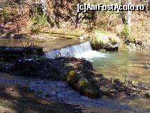 [P03] Rachitele, Muntii Apuseni: raul de munte... » foto by corinka
 - 
<span class="allrVoted glyphicon glyphicon-heart hidden" id="av54167"></span>
<a class="m-l-10 hidden" id="sv54167" onclick="voting_Foto_DelVot(,54167,7213)" role="button">șterge vot <span class="glyphicon glyphicon-remove"></span></a>
<a id="v954167" class=" c-red"  onclick="voting_Foto_SetVot(54167)" role="button"><span class="glyphicon glyphicon-heart-empty"></span> <b>LIKE</b> = Votează poza</a> <img class="hidden"  id="f54167W9" src="/imagini/loader.gif" border="0" /><span class="AjErrMes hidden" id="e54167ErM"></span>