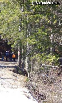[P04] Drumetie prin padure... » foto by corinka
 - 
<span class="allrVoted glyphicon glyphicon-heart hidden" id="av54168"></span>
<a class="m-l-10 hidden" id="sv54168" onclick="voting_Foto_DelVot(,54168,7213)" role="button">șterge vot <span class="glyphicon glyphicon-remove"></span></a>
<a id="v954168" class=" c-red"  onclick="voting_Foto_SetVot(54168)" role="button"><span class="glyphicon glyphicon-heart-empty"></span> <b>LIKE</b> = Votează poza</a> <img class="hidden"  id="f54168W9" src="/imagini/loader.gif" border="0" /><span class="AjErrMes hidden" id="e54168ErM"></span>