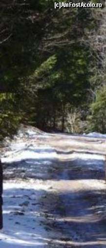 [P06] Zapada la Rachitele in luna aprilie... » foto by corinka
 - 
<span class="allrVoted glyphicon glyphicon-heart hidden" id="av54170"></span>
<a class="m-l-10 hidden" id="sv54170" onclick="voting_Foto_DelVot(,54170,7213)" role="button">șterge vot <span class="glyphicon glyphicon-remove"></span></a>
<a id="v954170" class=" c-red"  onclick="voting_Foto_SetVot(54170)" role="button"><span class="glyphicon glyphicon-heart-empty"></span> <b>LIKE</b> = Votează poza</a> <img class="hidden"  id="f54170W9" src="/imagini/loader.gif" border="0" /><span class="AjErrMes hidden" id="e54170ErM"></span>