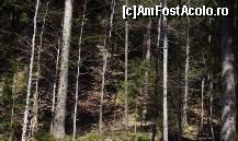 [P09] Atmosfera de primavara incepea sa se simta, macar din peisaj... » foto by corinka
 - 
<span class="allrVoted glyphicon glyphicon-heart hidden" id="av54175"></span>
<a class="m-l-10 hidden" id="sv54175" onclick="voting_Foto_DelVot(,54175,7213)" role="button">șterge vot <span class="glyphicon glyphicon-remove"></span></a>
<a id="v954175" class=" c-red"  onclick="voting_Foto_SetVot(54175)" role="button"><span class="glyphicon glyphicon-heart-empty"></span> <b>LIKE</b> = Votează poza</a> <img class="hidden"  id="f54175W9" src="/imagini/loader.gif" border="0" /><span class="AjErrMes hidden" id="e54175ErM"></span>