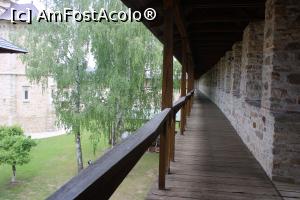 [P30] Mănăstirea Dragomirna, Pe lângă zidul din sud, mergem pe el pentru a poza biserica cea mare și celelalte clădiri de sus... » foto by mprofeanu
 - 
<span class="allrVoted glyphicon glyphicon-heart hidden" id="av1310240"></span>
<a class="m-l-10 hidden" id="sv1310240" onclick="voting_Foto_DelVot(,1310240,7245)" role="button">șterge vot <span class="glyphicon glyphicon-remove"></span></a>
<a id="v91310240" class=" c-red"  onclick="voting_Foto_SetVot(1310240)" role="button"><span class="glyphicon glyphicon-heart-empty"></span> <b>LIKE</b> = Votează poza</a> <img class="hidden"  id="f1310240W9" src="/imagini/loader.gif" border="0" /><span class="AjErrMes hidden" id="e1310240ErM"></span>